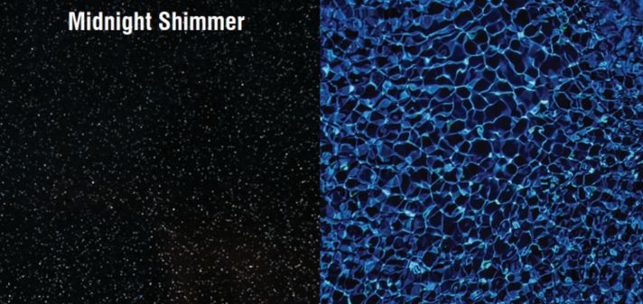 midnight-shimmer-